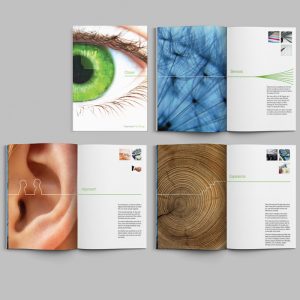 Brochure and literture design