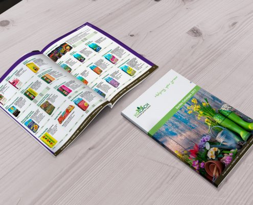 Graphic designer for catalogue deisign